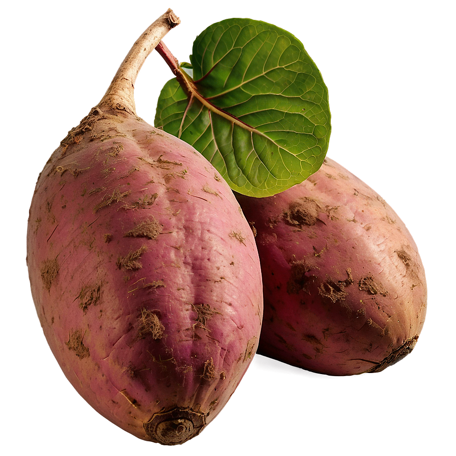 Organic Sweet Potato Png 99 PNG image