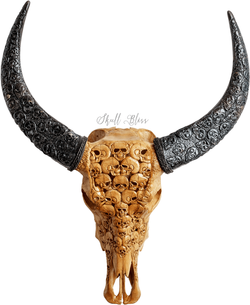 Ornate Goat Skullwith Carved Horns PNG image