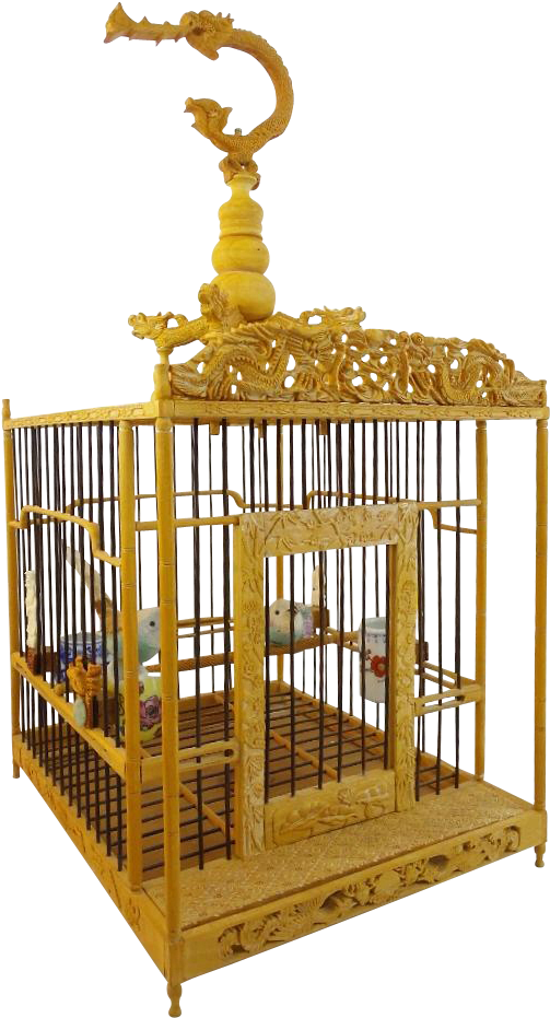 Ornate Golden Birdcage PNG image