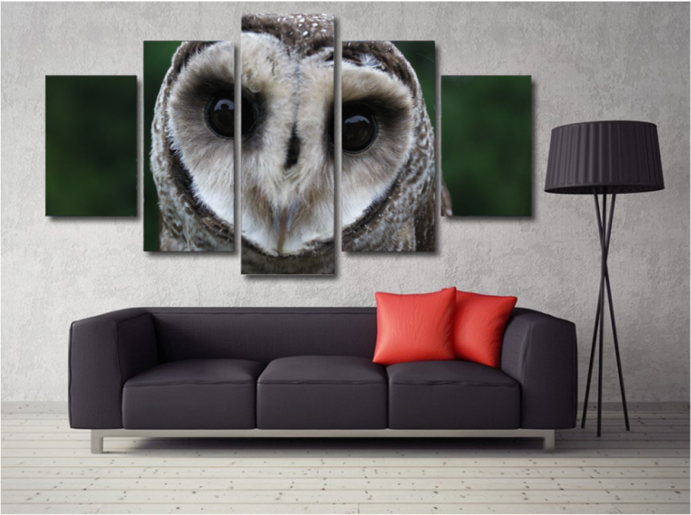 Owl Eyes Wall Art Split Canvas PNG image