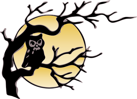 Owl Silhouette Against Moon PNG image