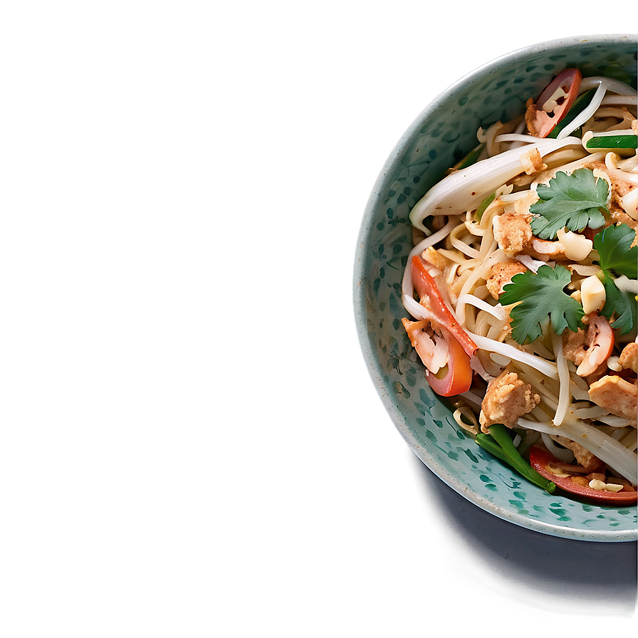 Pad Thai With Cilantro Finish Png 67 PNG image