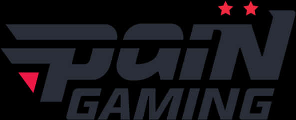 Pai N_ Gaming_ Logo PNG image