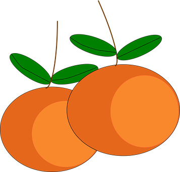 Pair_of_ Oranges_ Vector_ Illustration PNG image