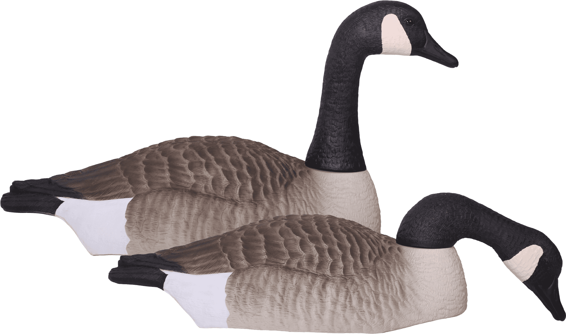 Pairof Canada Geese Decoys PNG image