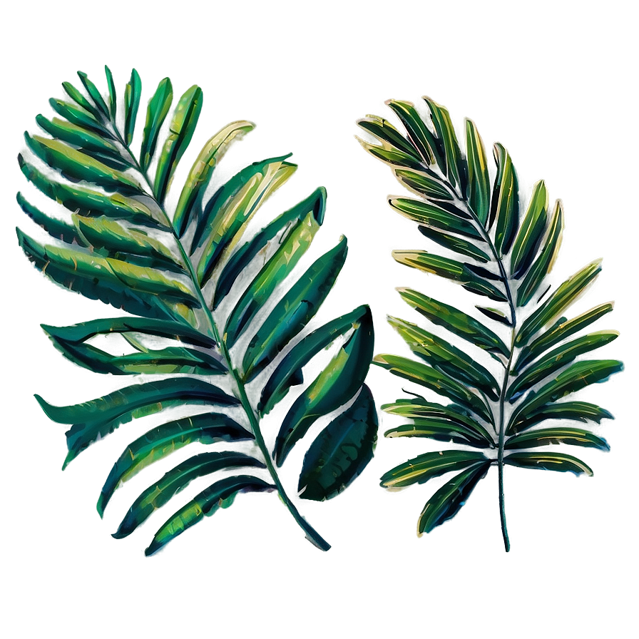 Palm Leaves Art Png Mru82 PNG image