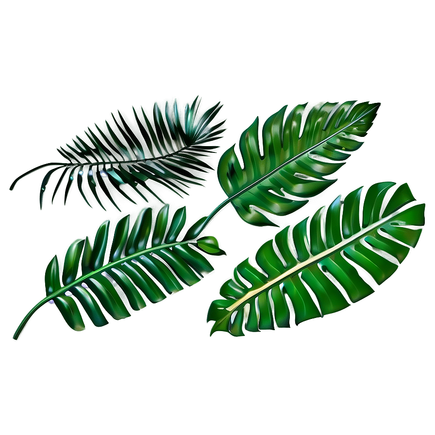 Palm Leaves Collection Png Rcb6 PNG image