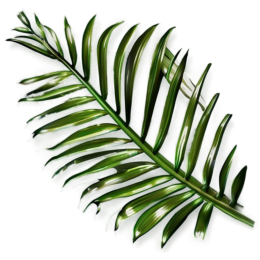 Palm Leaves Collection Png Sgp17 PNG image