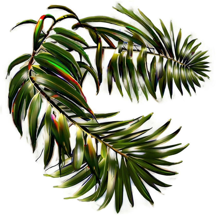 Palm Leaves Decoration Png 05252024 PNG image