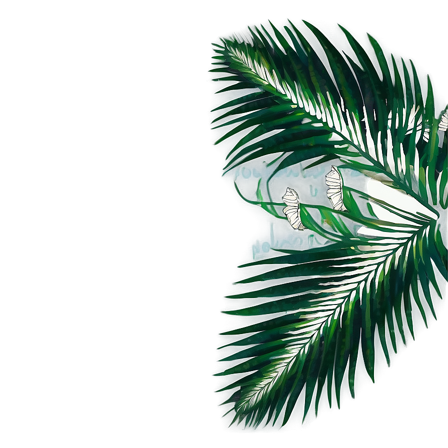 Palm Leaves Design Png 05252024 PNG image