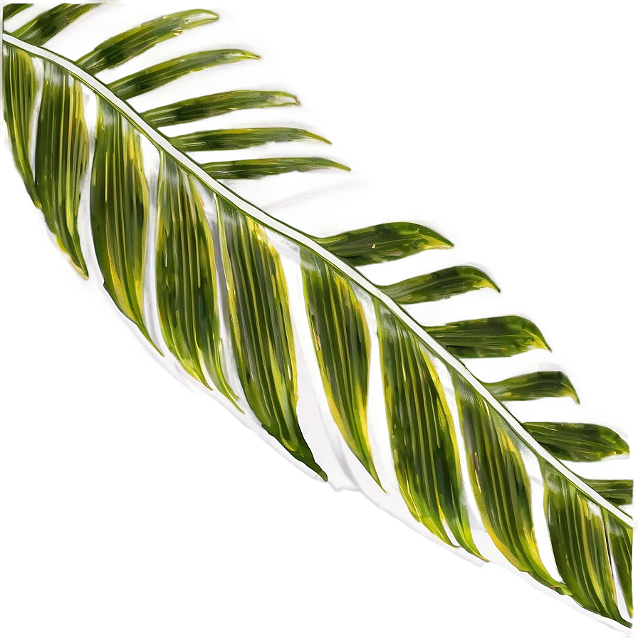 Palm Leaves Frame Png Vrg PNG image