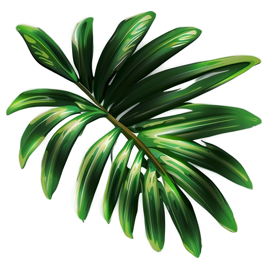 Palm Leaves Illustration Png 05252024 PNG image