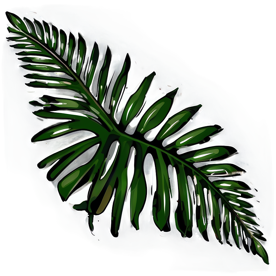 Palm Leaves Illustration Png Hqk PNG image