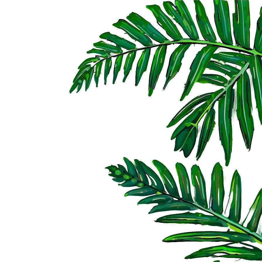 Palm Leaves Outline Png 84 PNG image