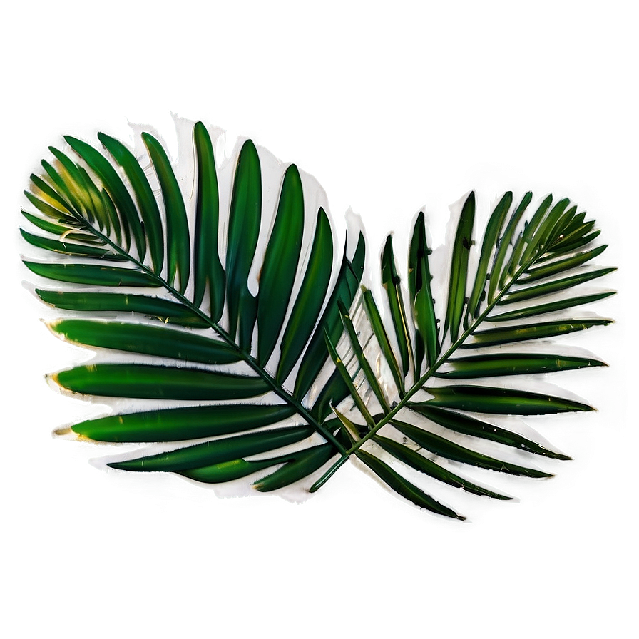 Palm Leaves Overlay Png Eih PNG image