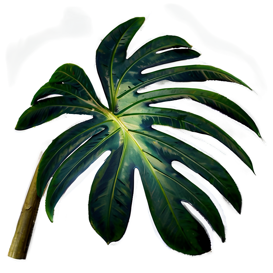 Palm Leaves Overlay Png Jxj PNG image