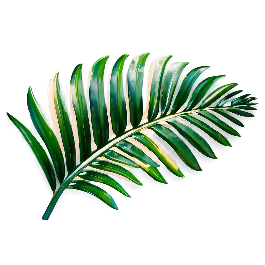 Palm Leaves Overlay Png Mnm78 PNG image