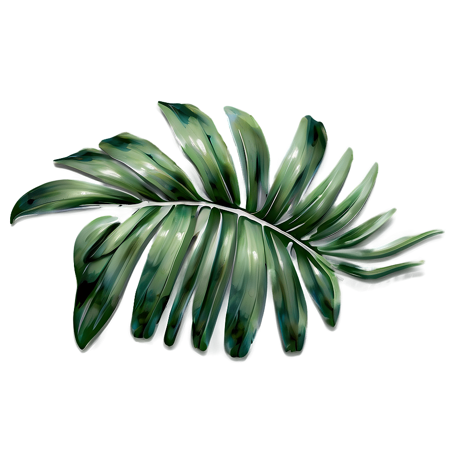 Palm Leaves Print Png 05252024 PNG image