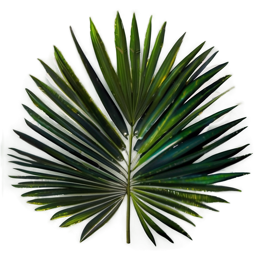 Palm Leaves Seamless Png Xnp8 PNG image