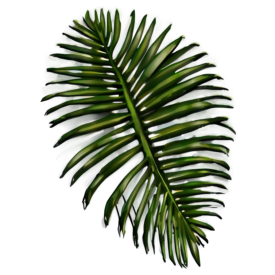 Palm Leaves Silhouette Png Utl82 PNG image