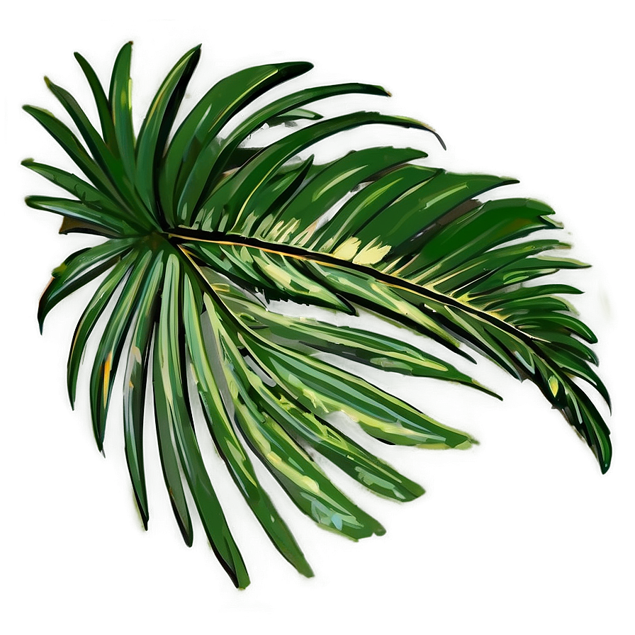 Palm Leaves Sketch Png 05252024 PNG image