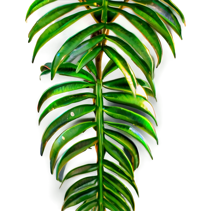 Palm Leaves Texture Png Wsb PNG image