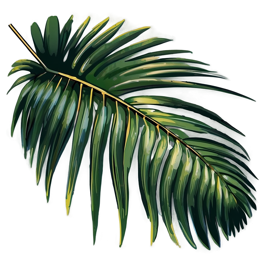 Palm Leaves Vector Png Rdu63 PNG image