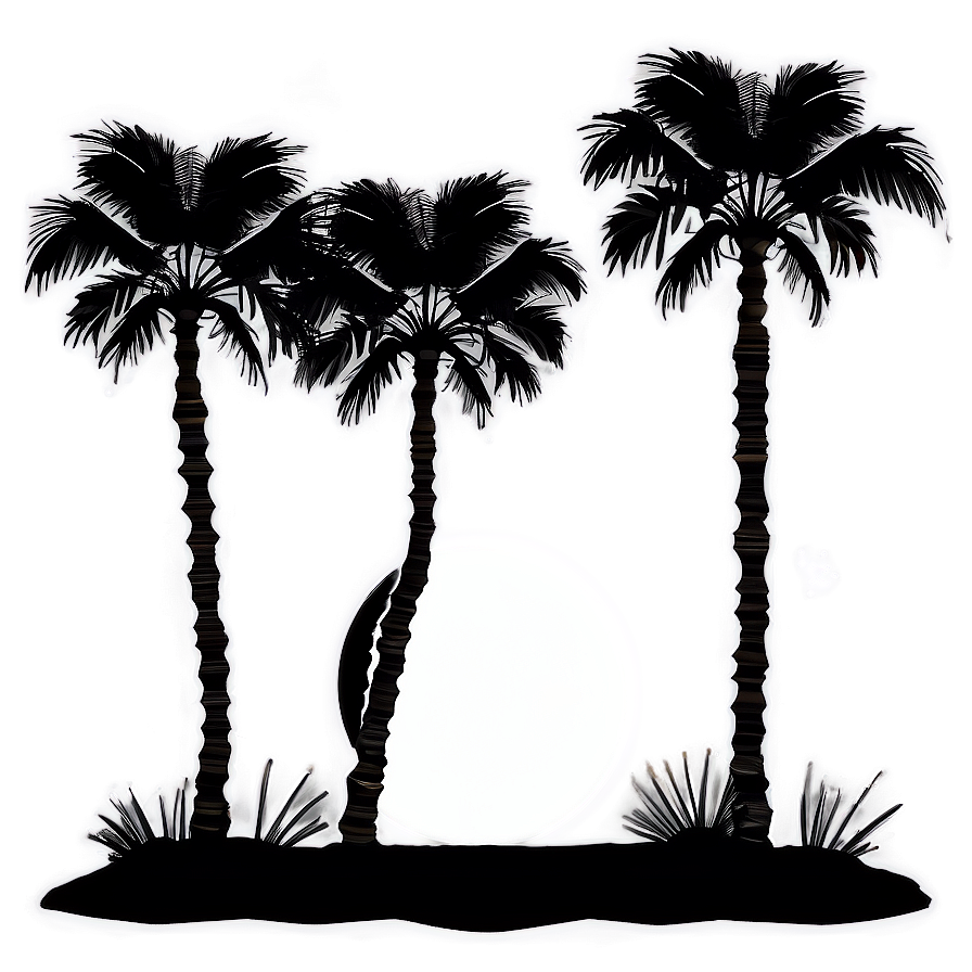 Palm Tree Night Silhouette Png Whd PNG image