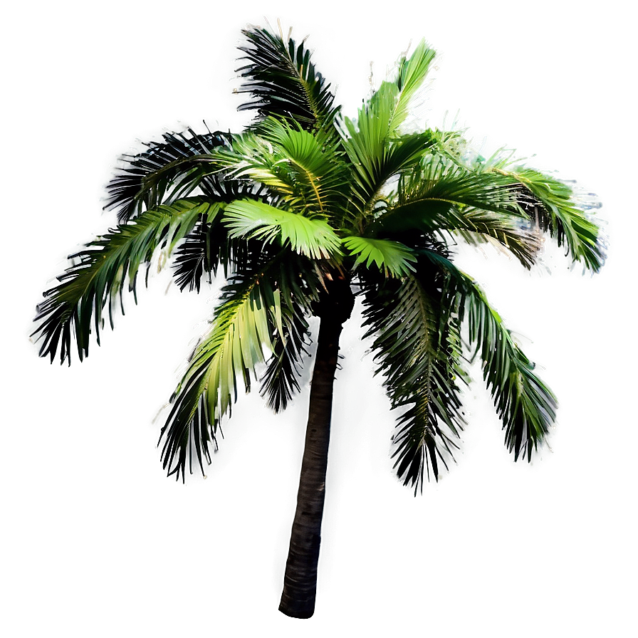 Palm Tree Oasis Png 04292024 PNG image