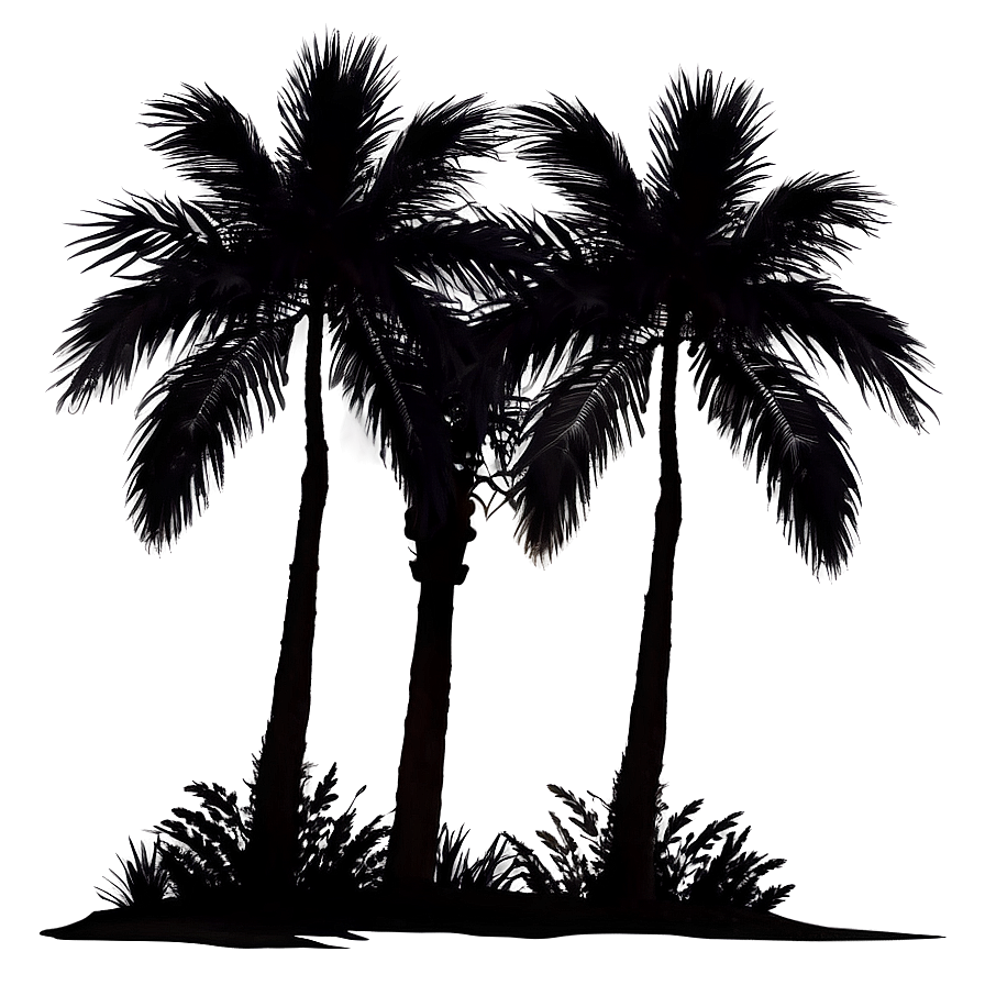 Palm Tree Sunset Silhouette Png Rpg PNG image