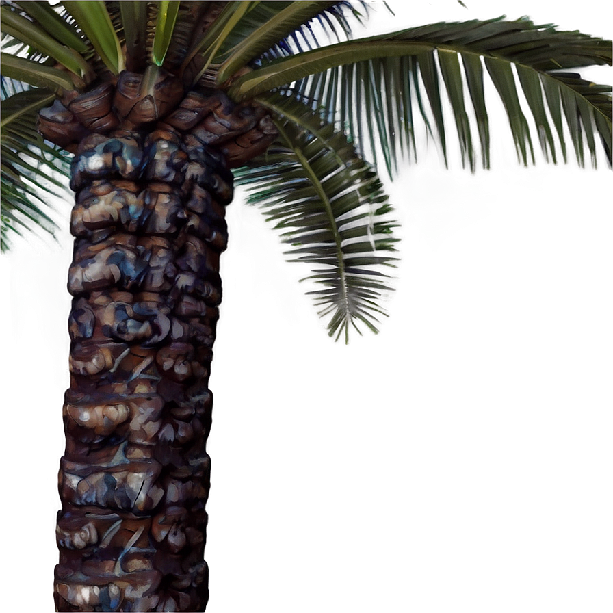Palm Tree Vacation Png 88 PNG image