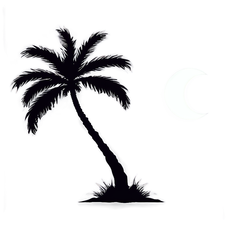 Palm Trees With Moon Png Tus PNG image