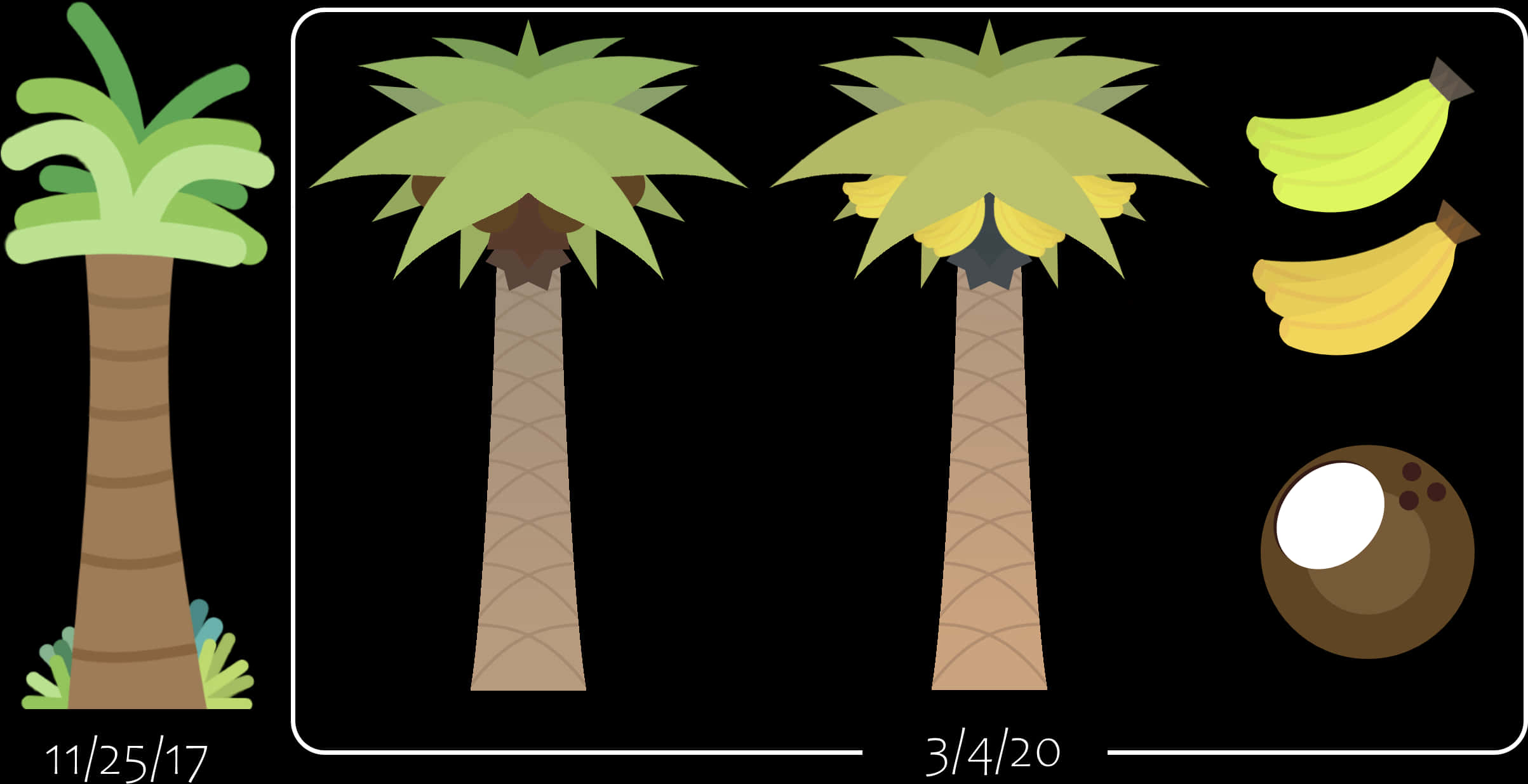 Palm Treesand Products Illustration PNG image