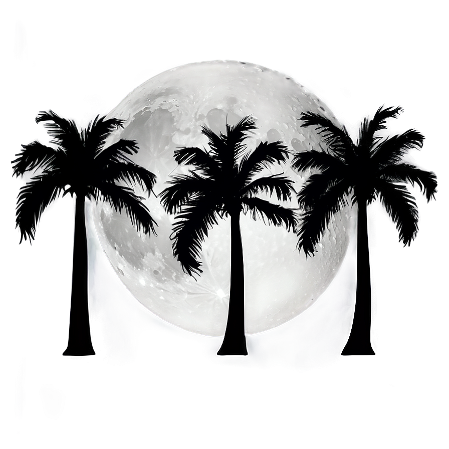 Palms Under Moonlight Png Iny PNG image