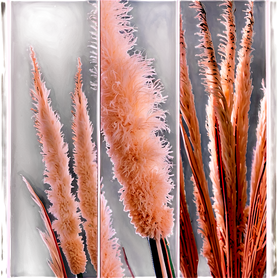 Pampas Grass Arrangement Png 06122024 PNG image