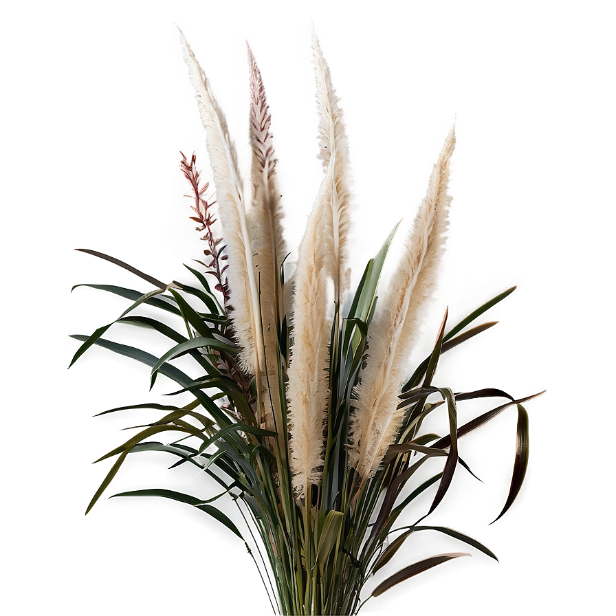 Pampas Grass Bouquet Png Tkf PNG image