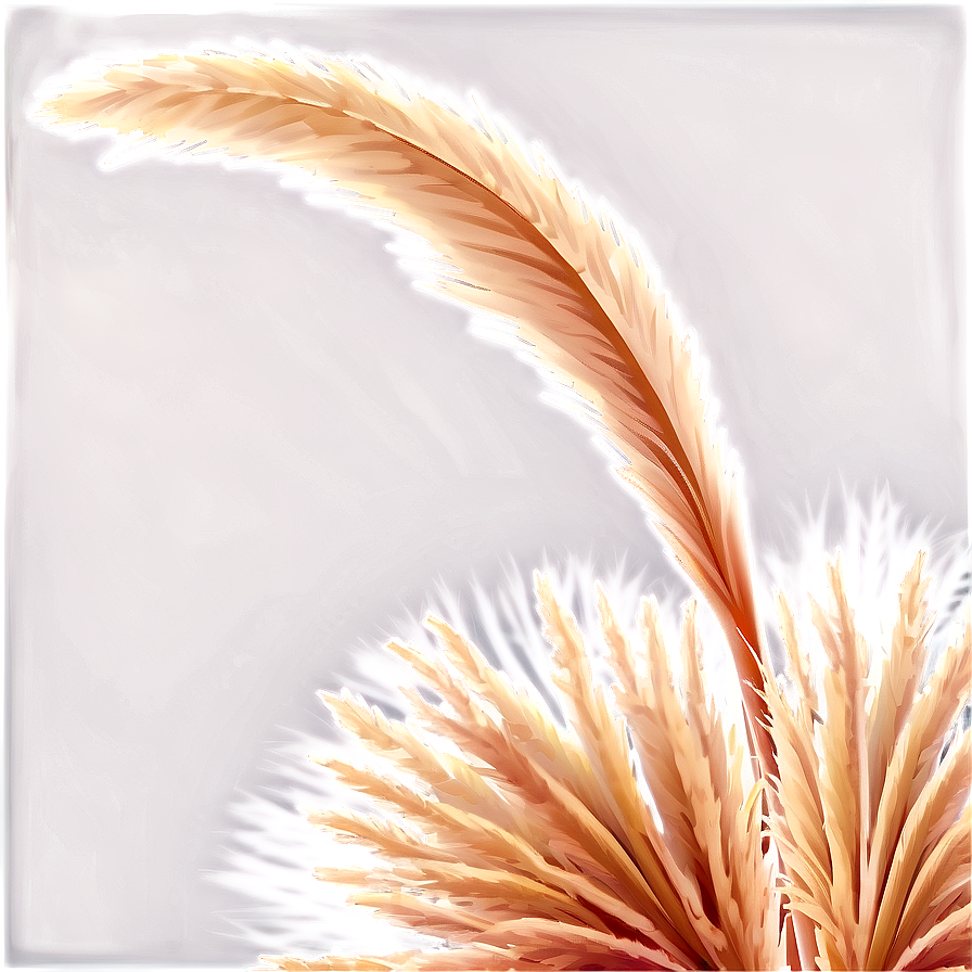 Pampas Grass Crown Png Kdt18 PNG image