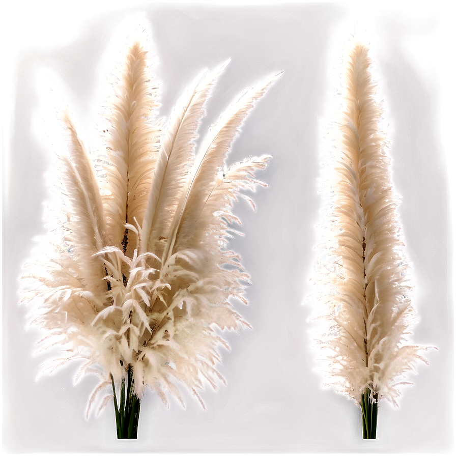 Pampas Grass Decor Idea Png Tnv PNG image