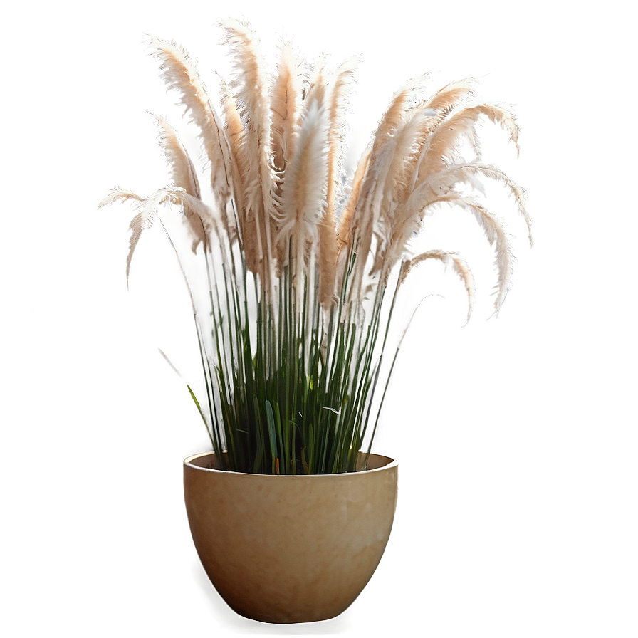 Pampas Grass In Pot Png 6 PNG image