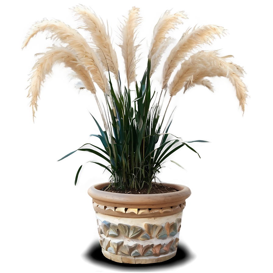 Pampas Grass In Pot Png 75 PNG image