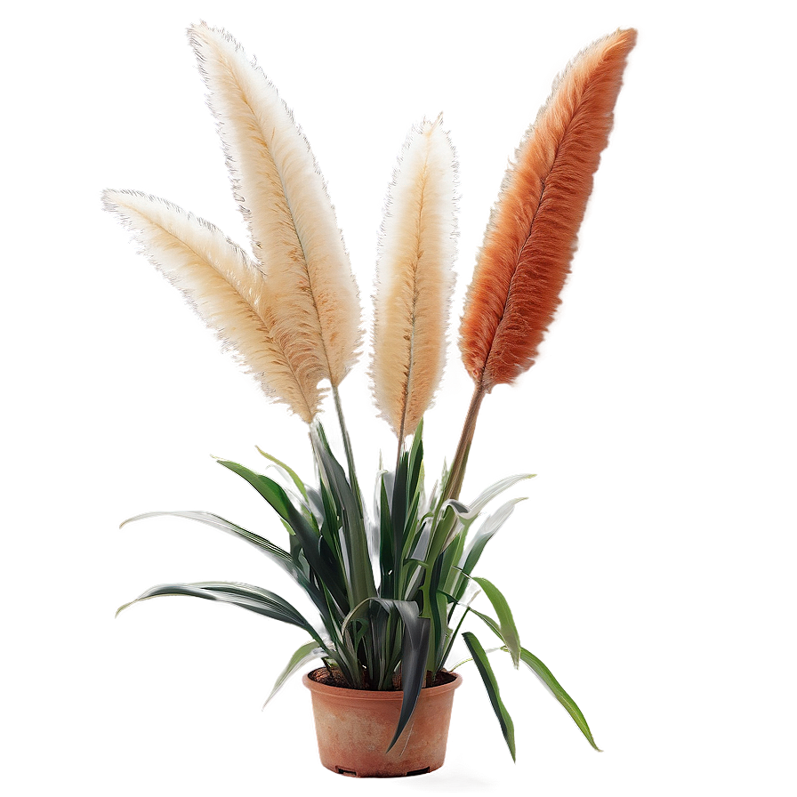 Pampas In Pot Png 1 PNG image