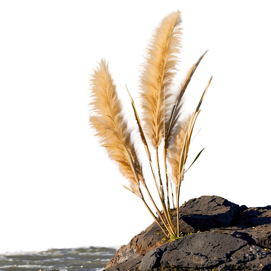 Pampas On Cliff Png 06272024 PNG image