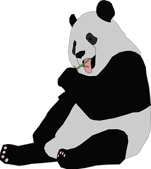 Panda Eating Bamboo PNG image