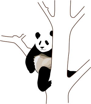 Panda Peeking Behind Tree PNG image