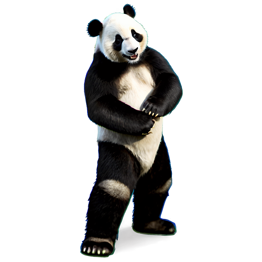 Panda School Mascot Png 21 PNG image