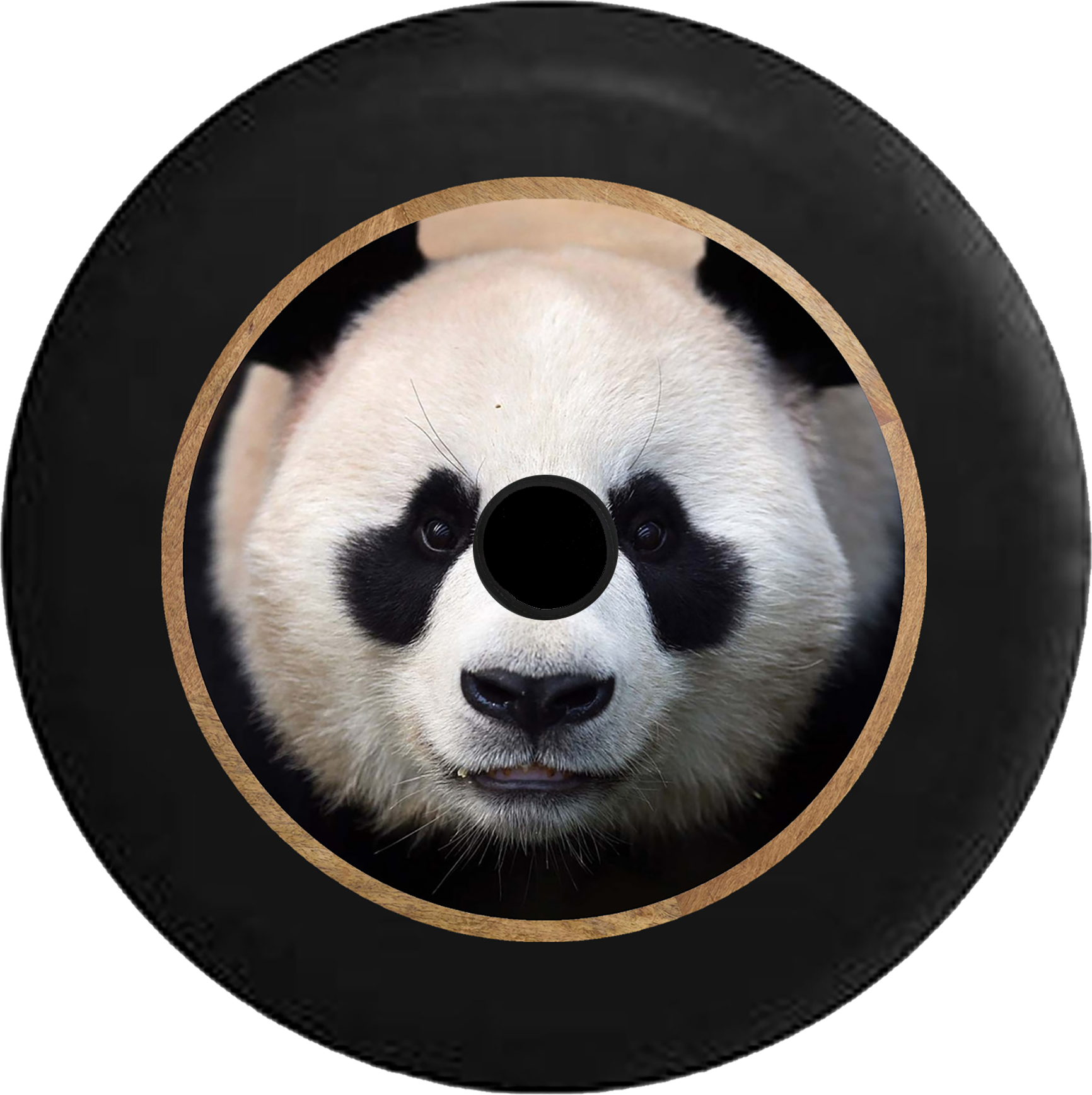 Panda Vinyl Record Art PNG image