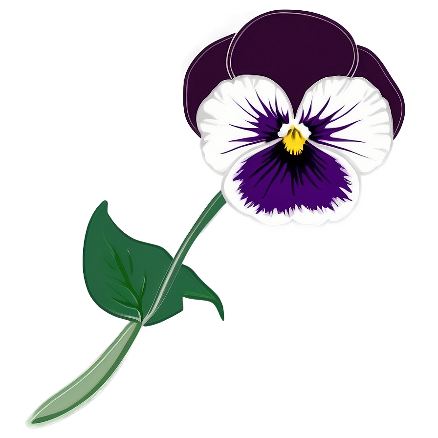 Pansy Flower Drawing Png Dfq27 PNG image