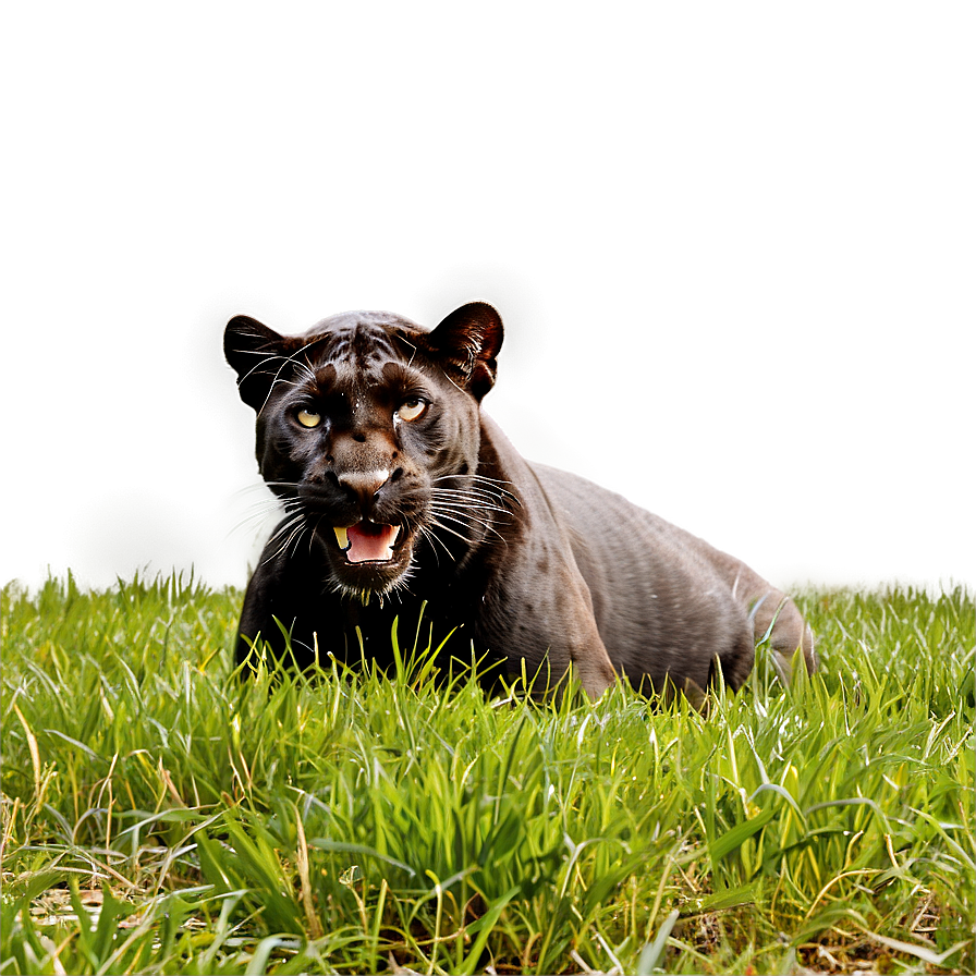 Panther In Grass Png Abt PNG image