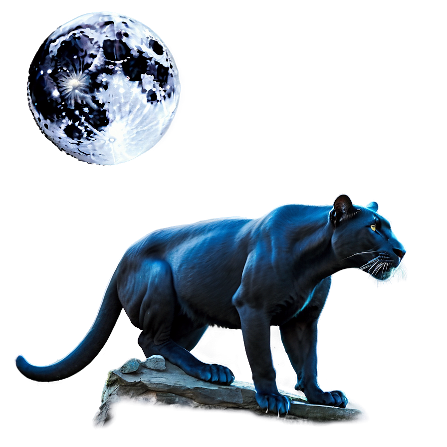 Panther In Moonlight Png 64 PNG image