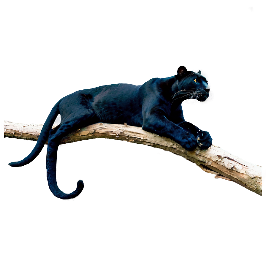 Panther On Branch Png Edn PNG image